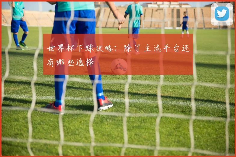 世界杯下球攻略：除了主流平台还有哪些选择
