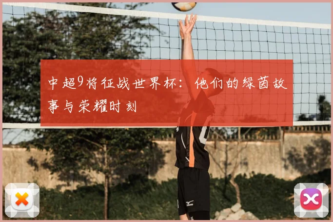 中超9将征战世界杯：他们的绿茵故事与荣耀时刻