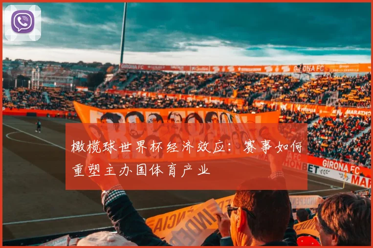橄榄球世界杯经济效应：赛事如何重塑主办国体育产业