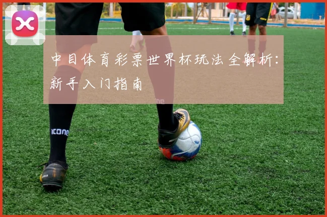 中目体育彩票世界杯玩法全解析：新手入门指南