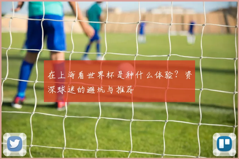 在上海看世界杯是种什么体验?资深球迷的避坑与推荐