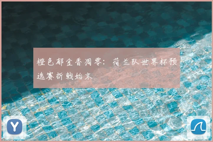 橙色郁金香凋零：荷兰队世界杯预选赛折戟始末