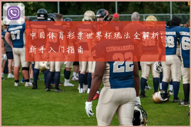 中目体育彩票世界杯玩法全解析：新手入门指南