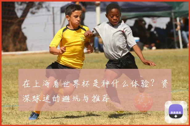 在上海看世界杯是种什么体验?资深球迷的避坑与推荐