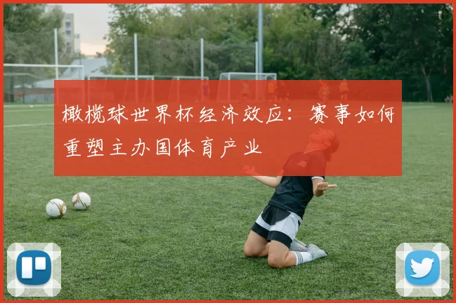 橄榄球世界杯经济效应：赛事如何重塑主办国体育产业