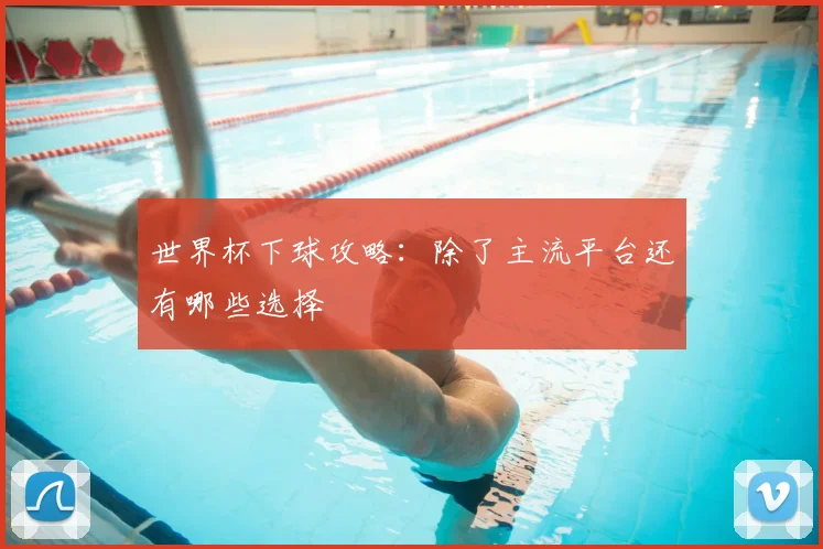 世界杯下球攻略:除了主流平台还有哪些选择